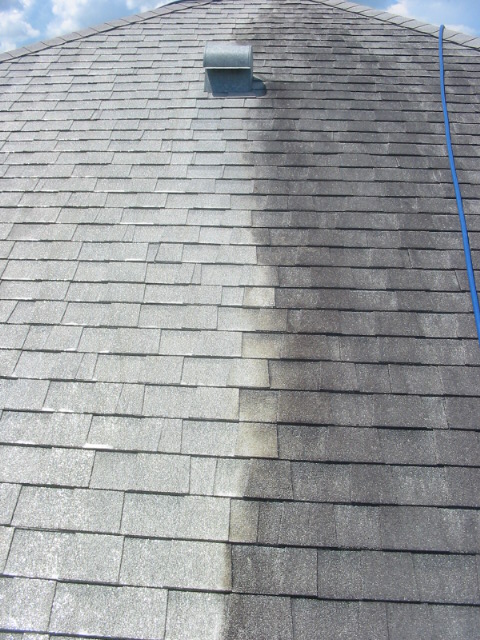 Roof shingles showing half cleaned and half dirty result