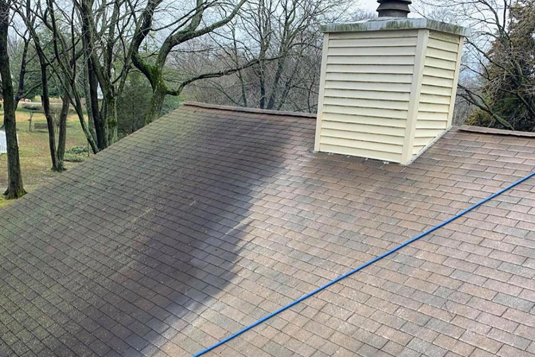 Wide view of roof shingles after cleaning