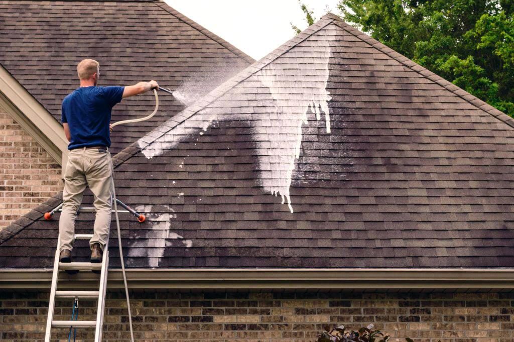 Professional applying soft wash roof cleaning solution to asphalt shingles