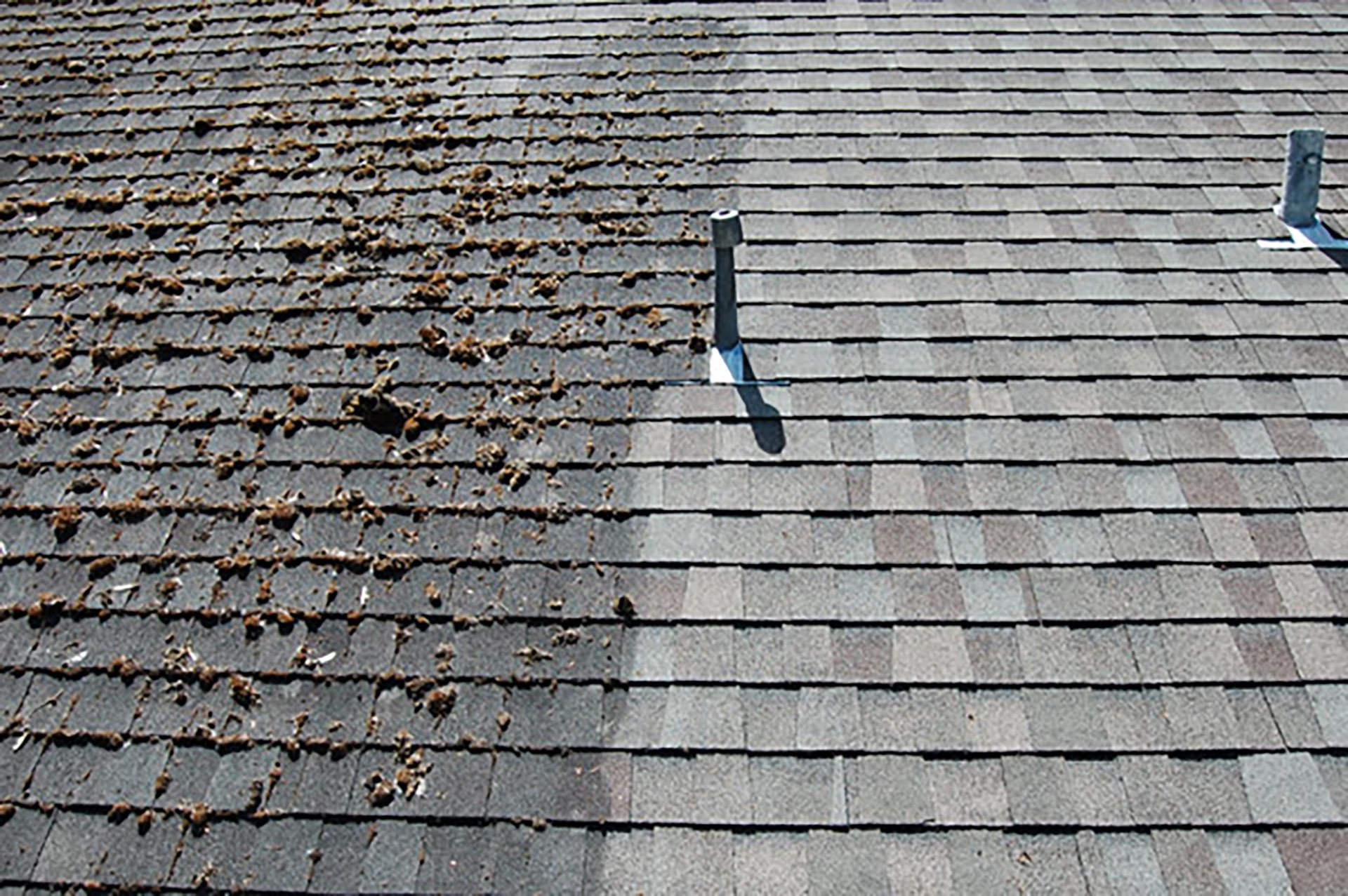 Close-up shingle before and after Roof Maxx