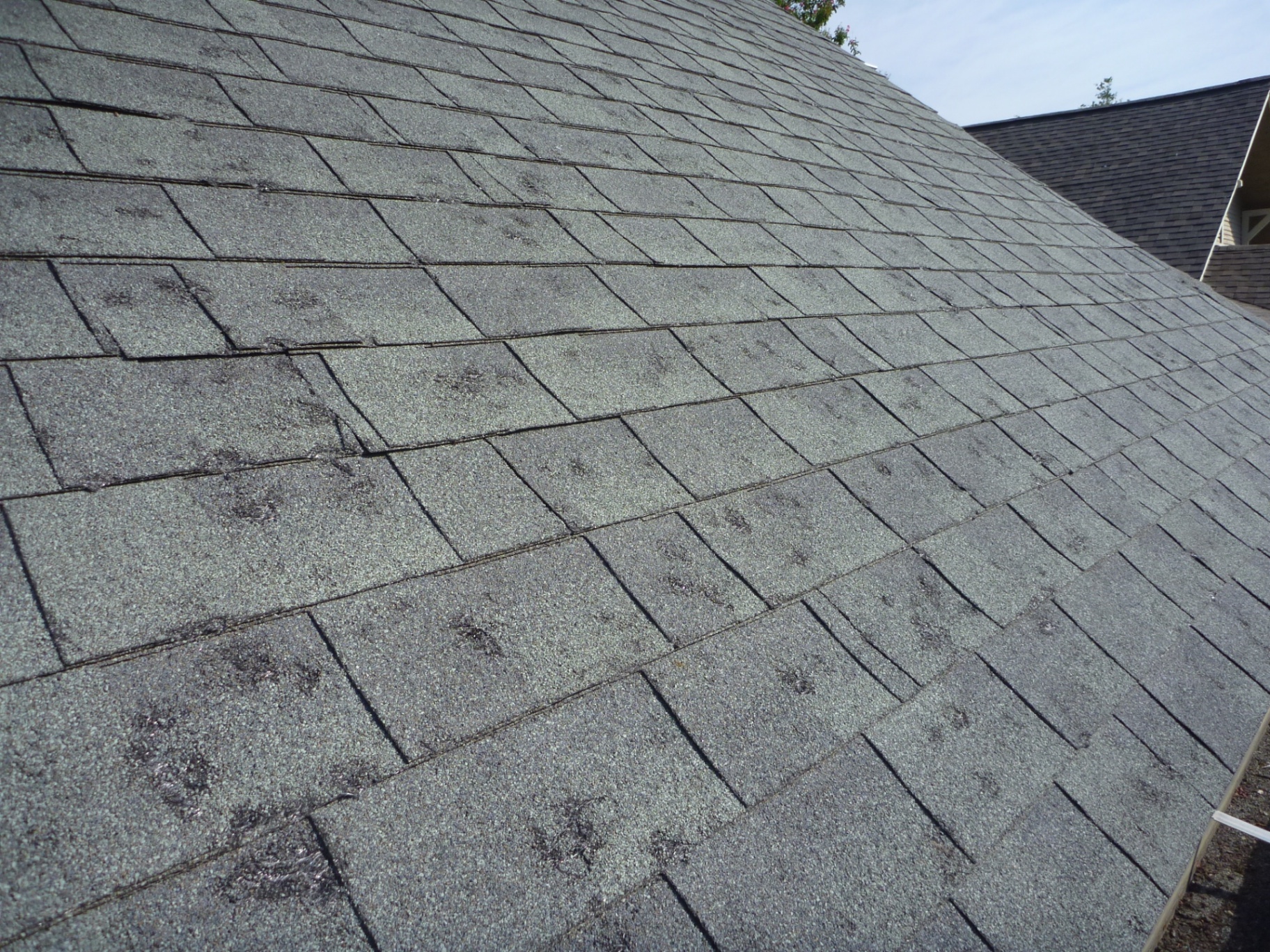 Aging asphalt shingles with hail bruising and granule loss